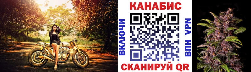 закладки  Кировград  Канабис THC 21% 